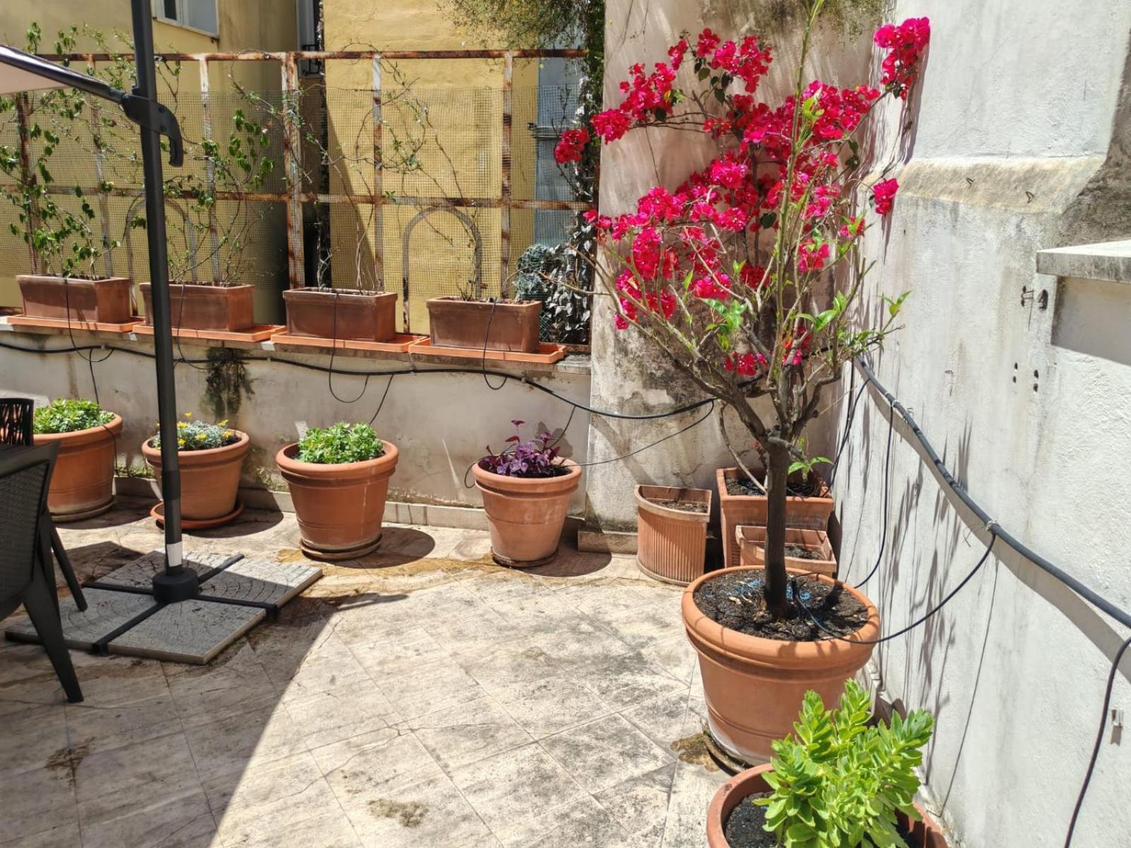 Apartment Casa Storica 4bdr Con Terrazza A Campo De Fiori *